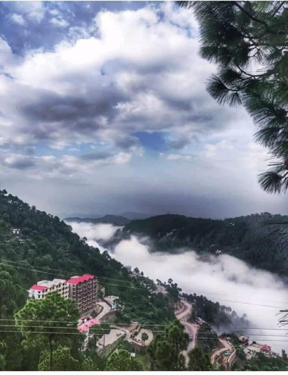 2Bhk Furnished Apartment/Near Kasauli/Barog/Luv Fun & Adventure Solan Extérieur photo