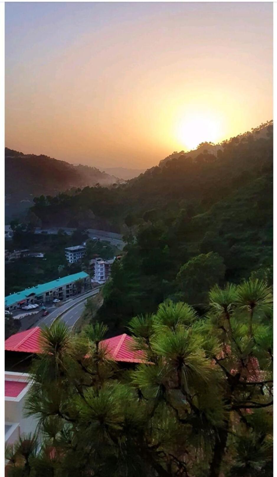 2Bhk Furnished Apartment/Near Kasauli/Barog/Luv Fun & Adventure Solan Extérieur photo