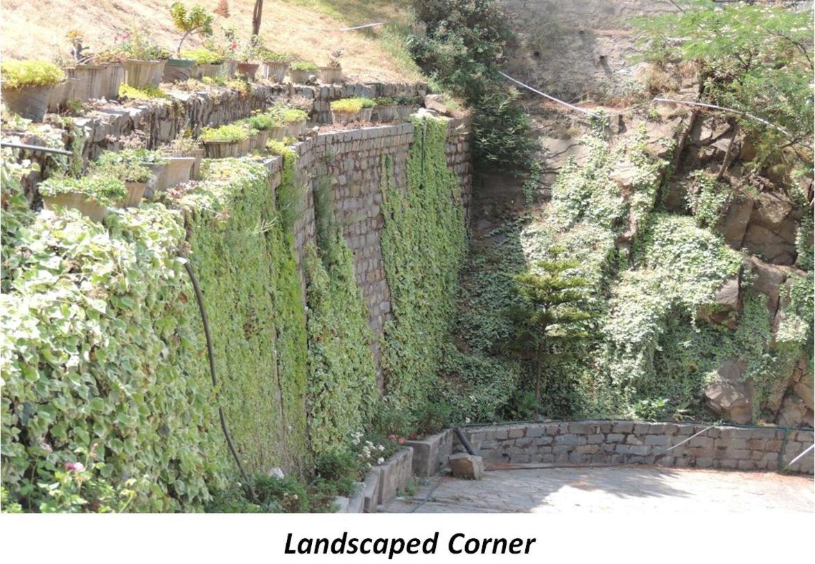 2Bhk Furnished Apartment/Near Kasauli/Barog/Luv Fun & Adventure Solan Extérieur photo